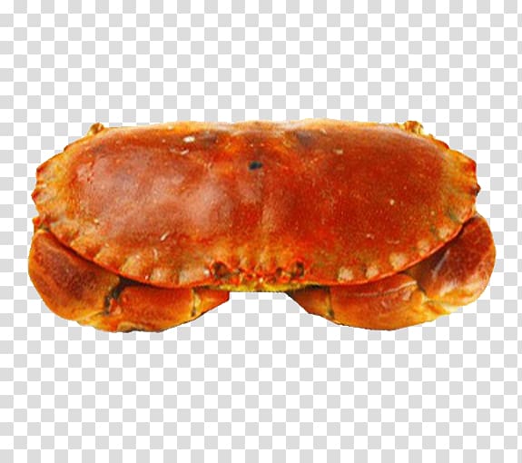Dungeness crab Sea Cangrejo Crab meat, Sea crab transparent background PNG clipart