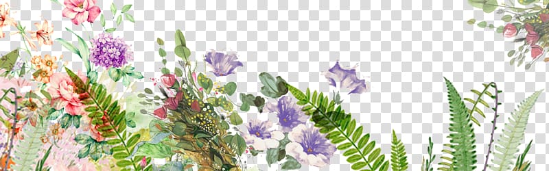 Floral design Flower, Floral background transparent background PNG clipart