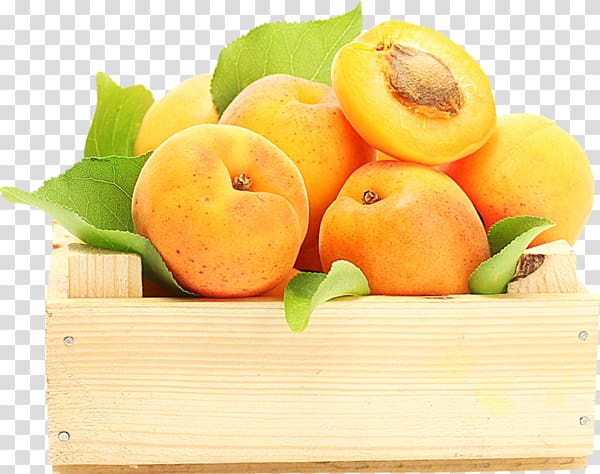 Fruit Apricot Food Persimmon Desktop , good night transparent background PNG clipart