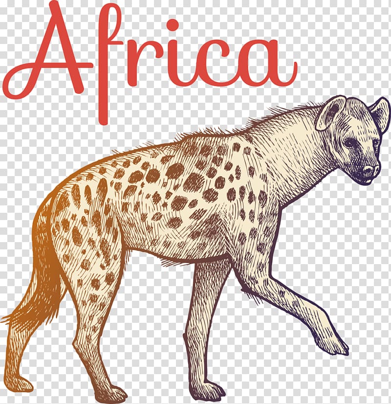 Hyena Illustration, cartoon hyena transparent background PNG clipart