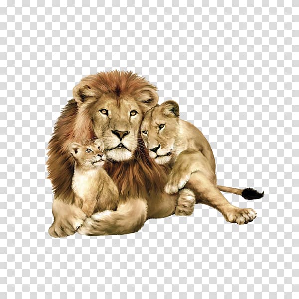 Baby Lions East African lion Lion Family Book Tiger Felidae, tiger transparent background PNG clipart