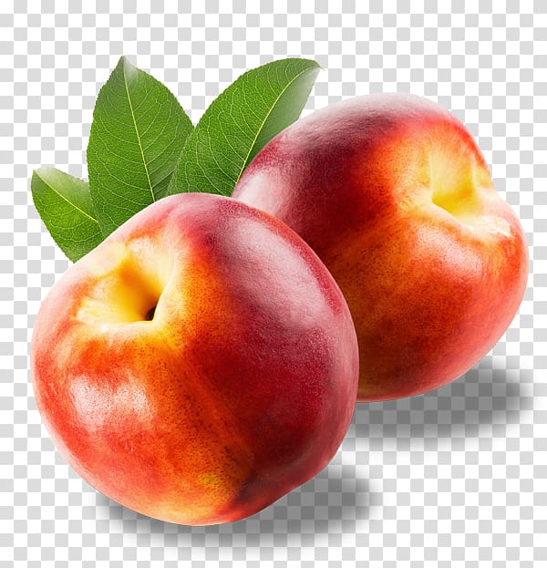 Nectarine Fruit Food Auglis ChooseMyPlate, vegetable transparent background PNG clipart