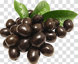 Greek cuisine Kalamata olive Olive oil, bean transparent background PNG clipart thumbnail