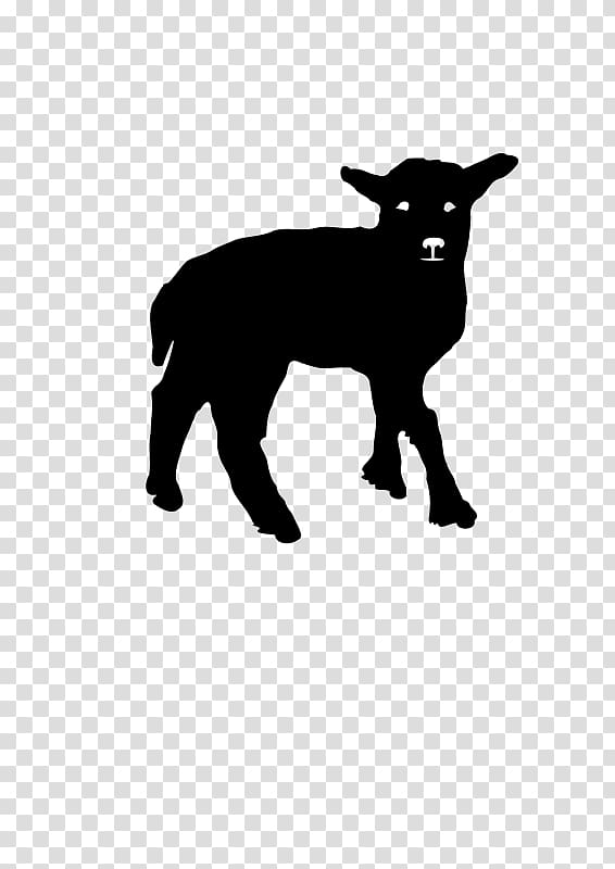 Black sheep Lamb and mutton , Lamb transparent background PNG clipart