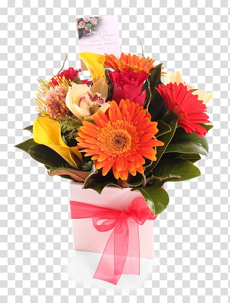 Transvaal daisy Floral design Cut flowers Flower bouquet, bright Flowers transparent background PNG clipart