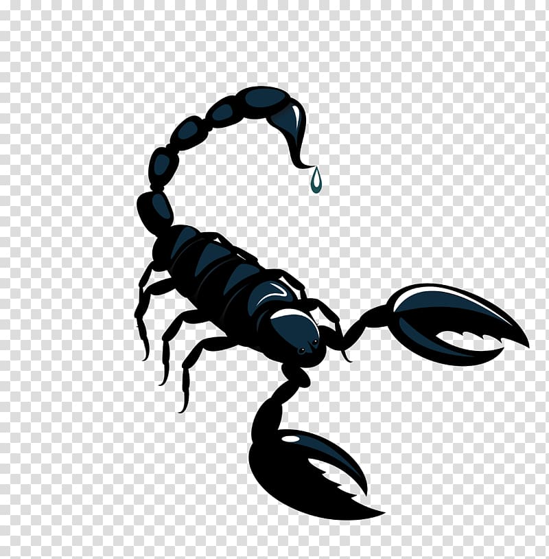 Scorpion Astrological sign Horoscope Astrology, black scorpion material transparent background PNG clipart