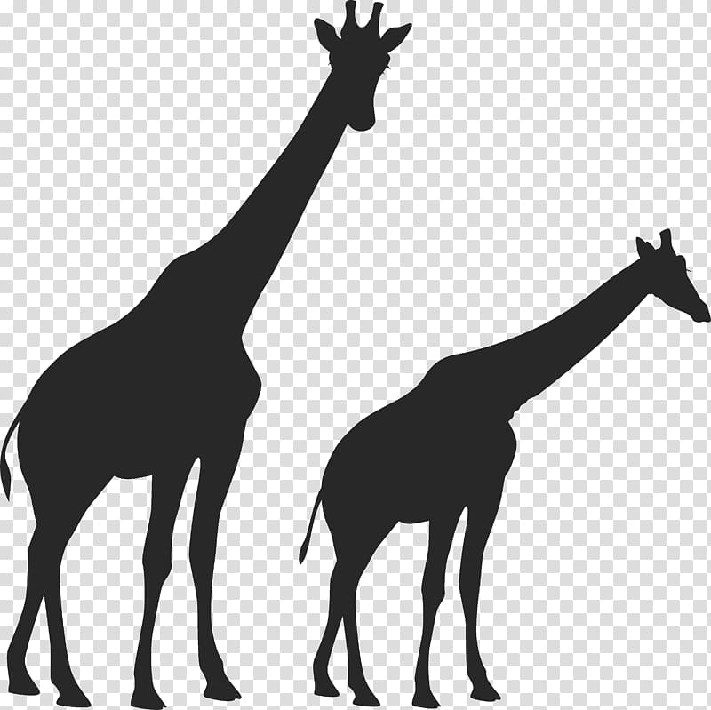 West African giraffe Vertebrate Mustang Animal Mammal, watercolor giraffe transparent background PNG clipart