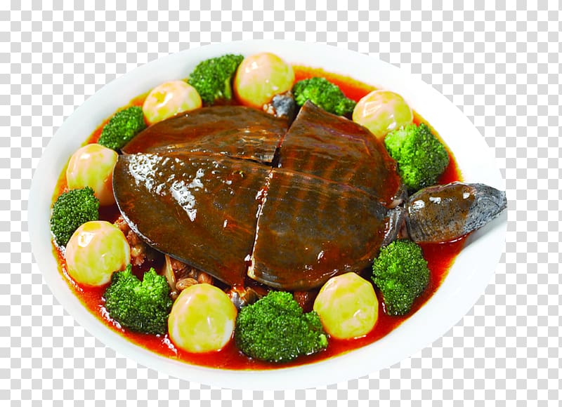 Trionychidae Chinese softshell turtle Eating Food Meat, Turtle eggs transparent background PNG clipart