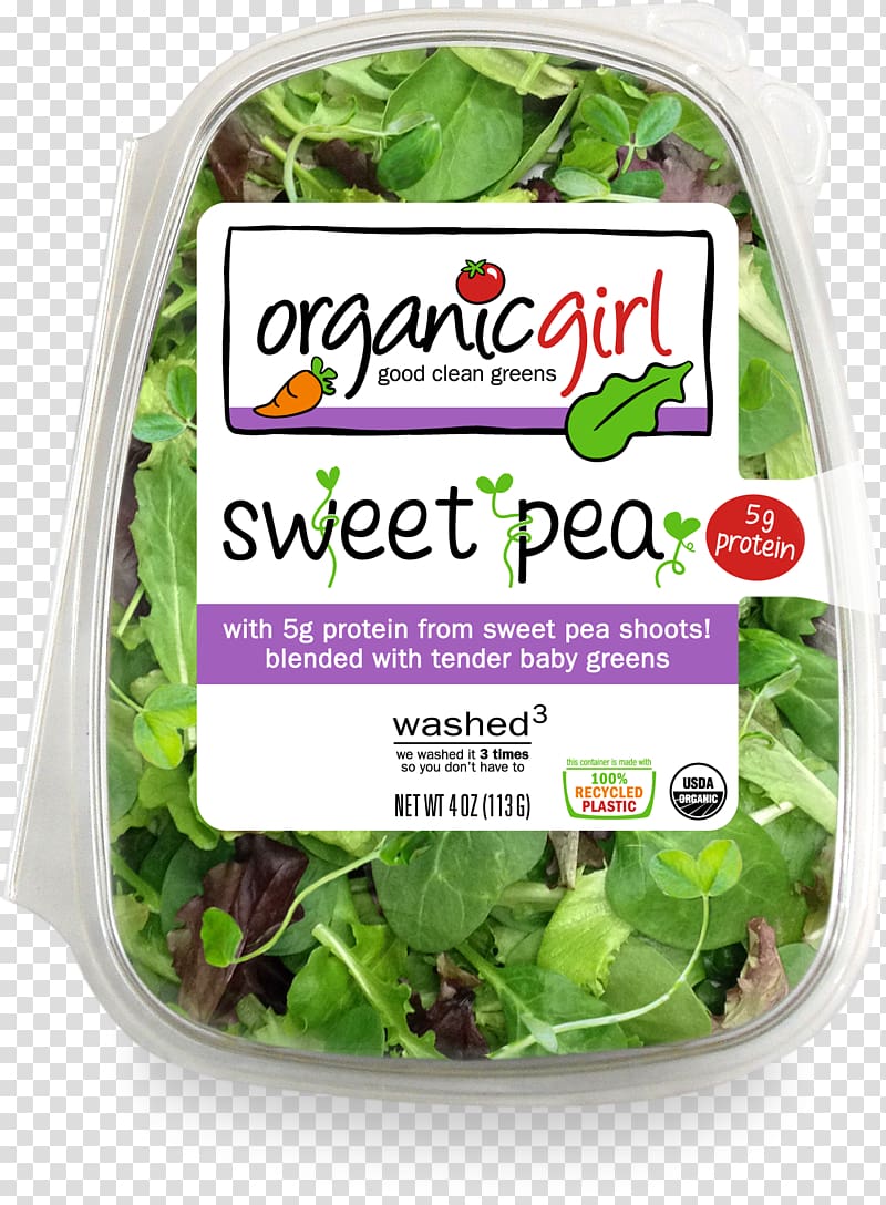 Lettuce Organic food Mesclun Leaf vegetable Salad, fresh salad transparent background PNG clipart