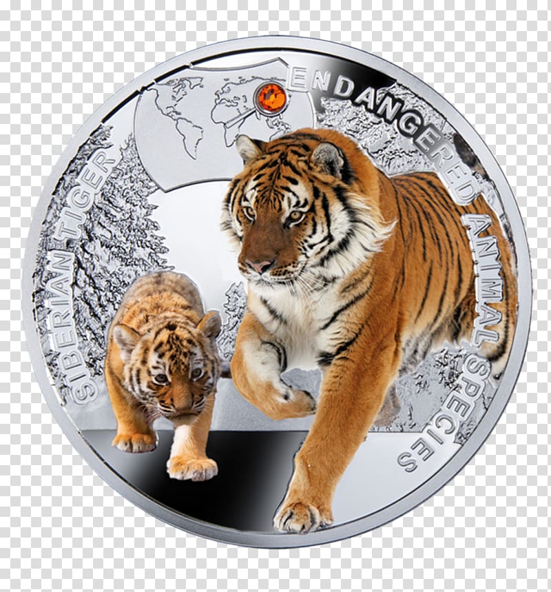Siberian Tiger Endangered species Coin Amur leopard Animal, siberian tiger transparent background PNG clipart