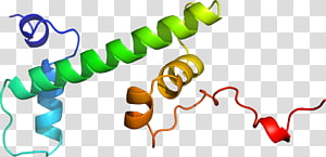 Organism , design transparent background PNG clipart thumbnail