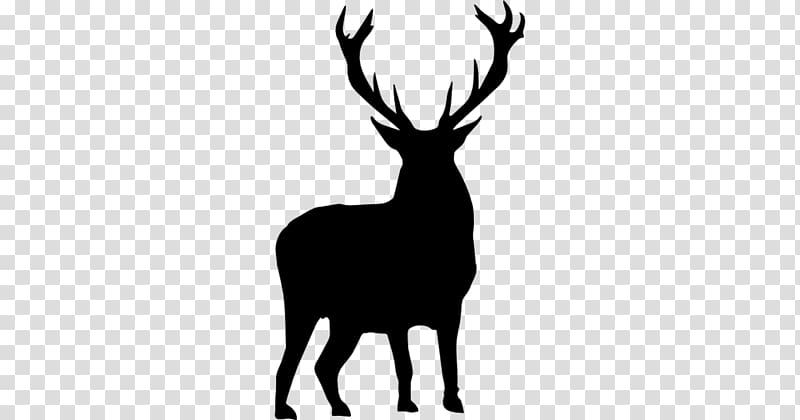 White-tailed deer Moose Silhouette , deer transparent background PNG clipart