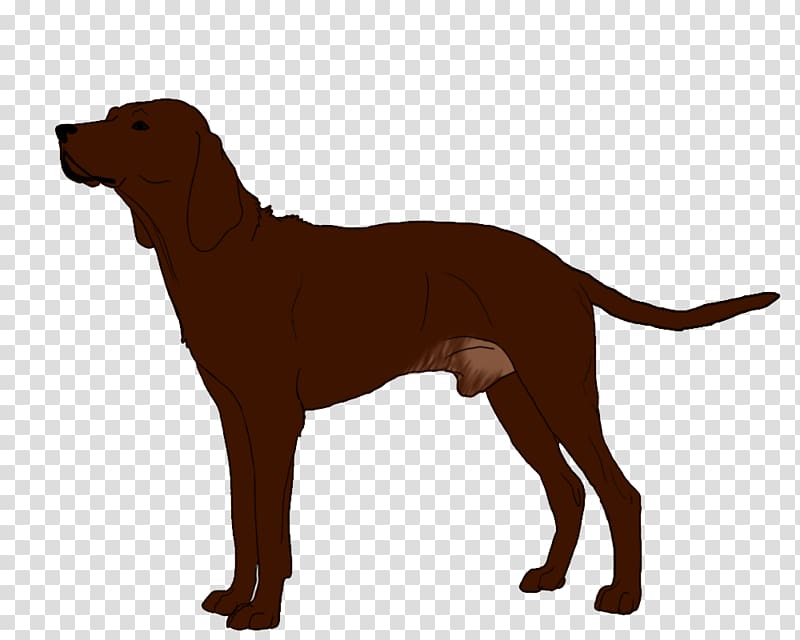 Redbone Coonhound Labrador Retriever Dog breed Puppy Black and Tan Coonhound, puppy transparent background PNG clipart