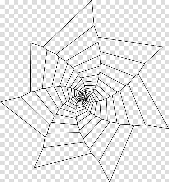 Spider web Tangle web spider, spider transparent background PNG clipart