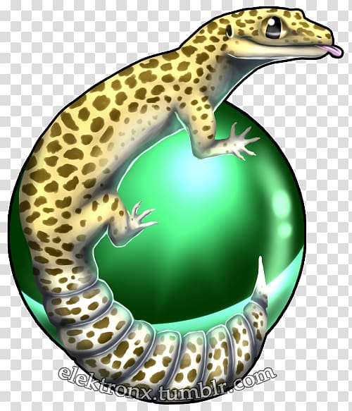 Gecko Lizard Terrestrial animal, lizard transparent background PNG clipart