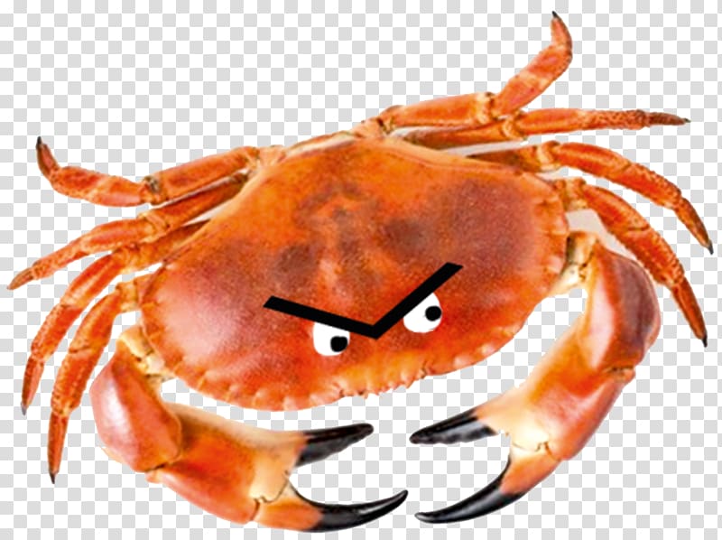 Cheer Up Love: Adventures in depression with the Crab of Hate Dungeness crab King crab Comedian, crab transparent background PNG clipart