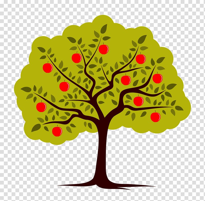 Apple Fruit tree , apple transparent background PNG clipart