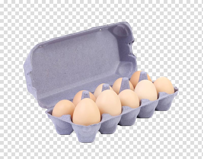 Chicken eggs are fresh in a cardboard package on transparent background PNG  - Similar PNG