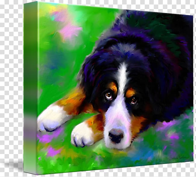 Bernese Mountain Dog Dog breed Greater Swiss Mountain Dog Entlebucher Mountain Dog Australian Shepherd, puppy transparent background PNG clipart