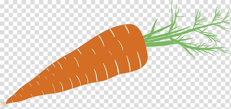 Baby carrot Drawing Pictogram Vegetable, carrot transparent background ...