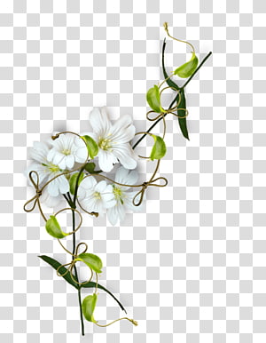 Floral design Cut flowers Flower bouquet, flower transparent background PNG clipart thumbnail
