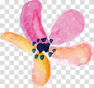 Watercolor painting Petal, Petals watercolor decorative elements transparent background PNG clipart thumbnail
