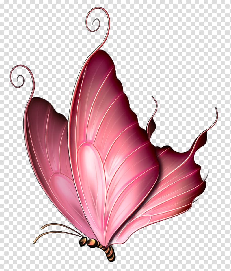 Butterfly Insect Pink Purple , Children elements of butterfly pattern,Cartoon Butterfly Dream, pink butterfly transparent background PNG clipart