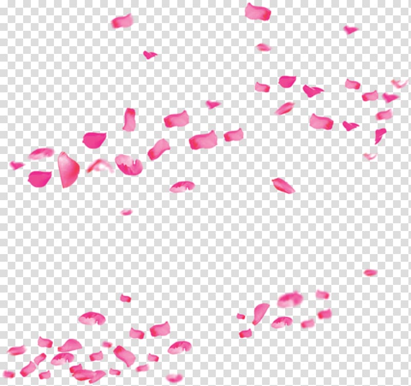 International Womens Day Valentines Day, Pink rose petals drift Valentines Day transparent background PNG clipart