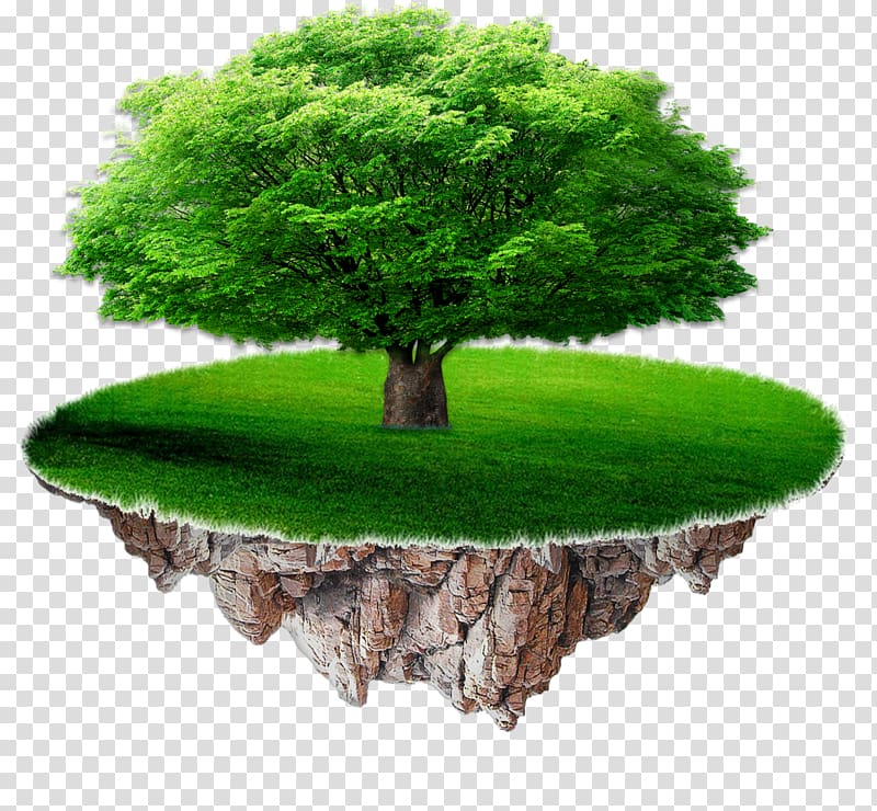 China Life Insurance Company Human resource management, A tree on a suspended island transparent background PNG clipart