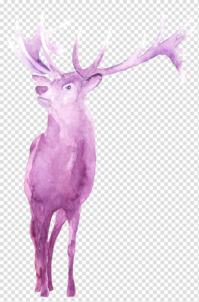 Reindeer Antler Character Fiction, white deer transparent background PNG clipart