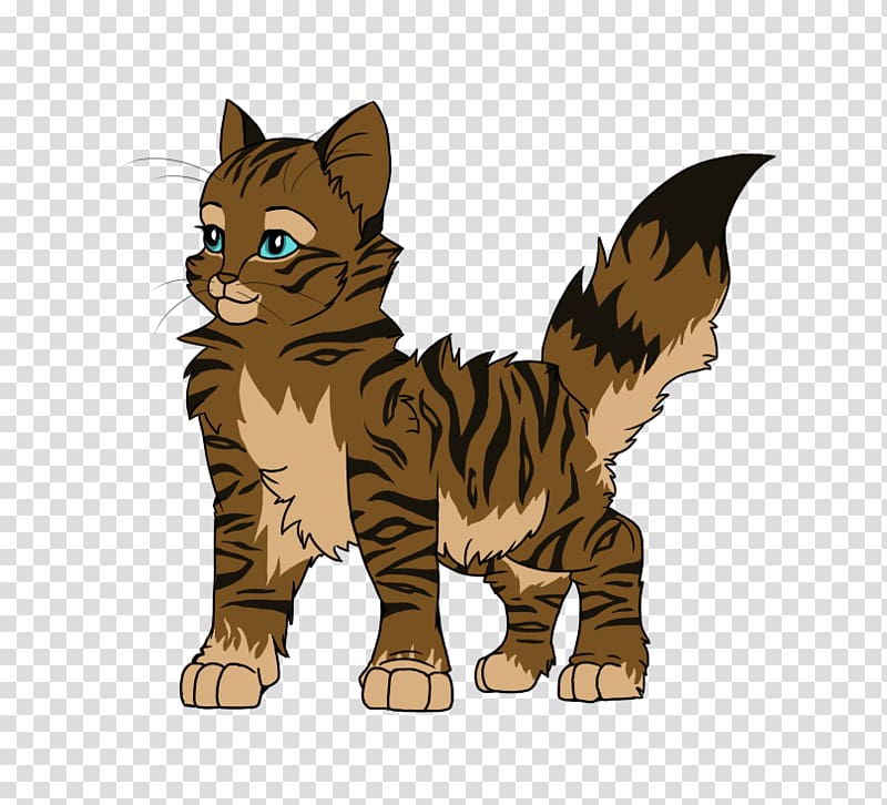 Whiskers Kitten Wildcat Tabby cat, kitten transparent background PNG clipart