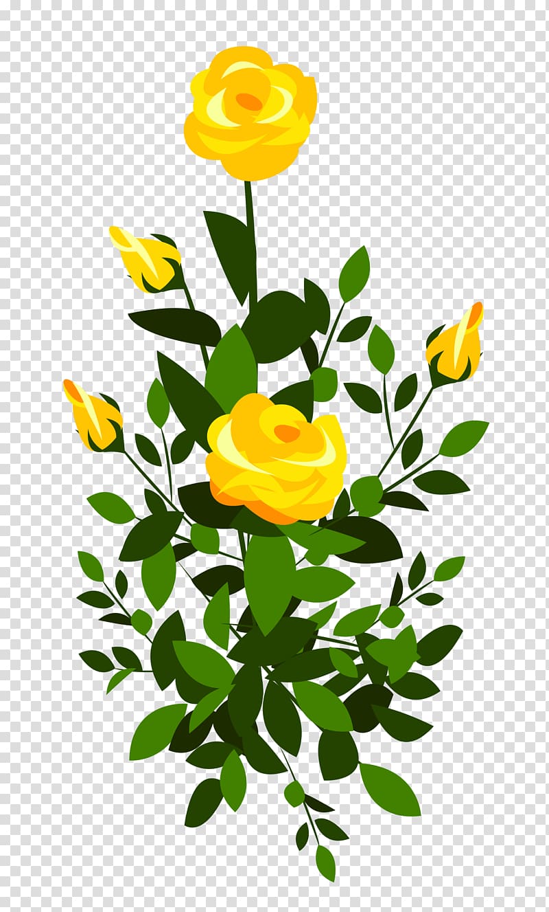 yellow and green roses illustration, Rose Shrub , Yellow Rose Bush transparent background PNG clipart