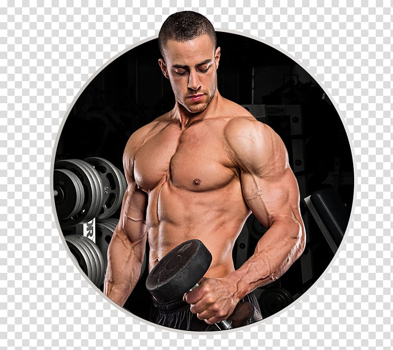 Bodybuilding supplement Muscle Dietary supplement Physical fitness, ripped transparent background PNG clipart