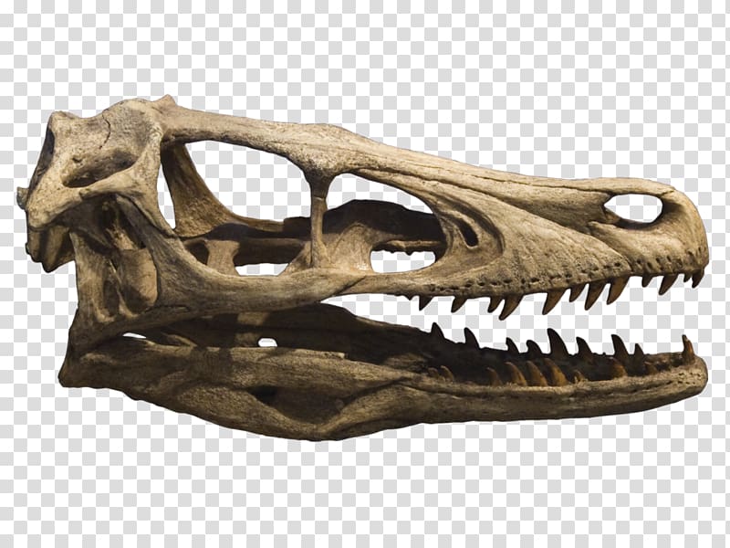 Velociraptor Deinonychus Tyrannosaurus Achillobator Late Cretaceous, crane transparent background PNG clipart