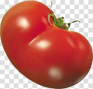 Tomato transparent background PNG clipart thumbnail