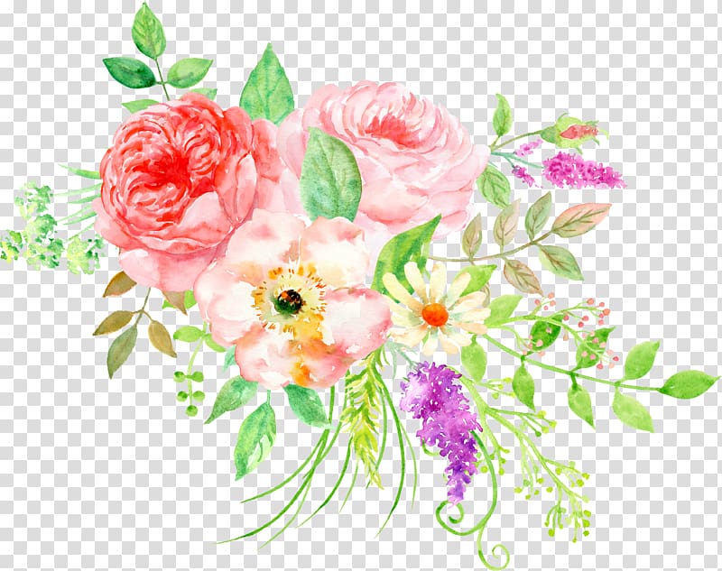 beautiful floral watercolor peony flower cluster transparent background PNG clipart