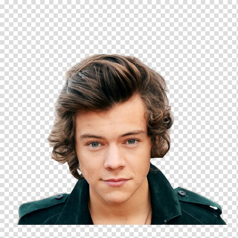 Harry Styles The X Factor One Direction Sign of the Times, one direction transparent background PNG clipart