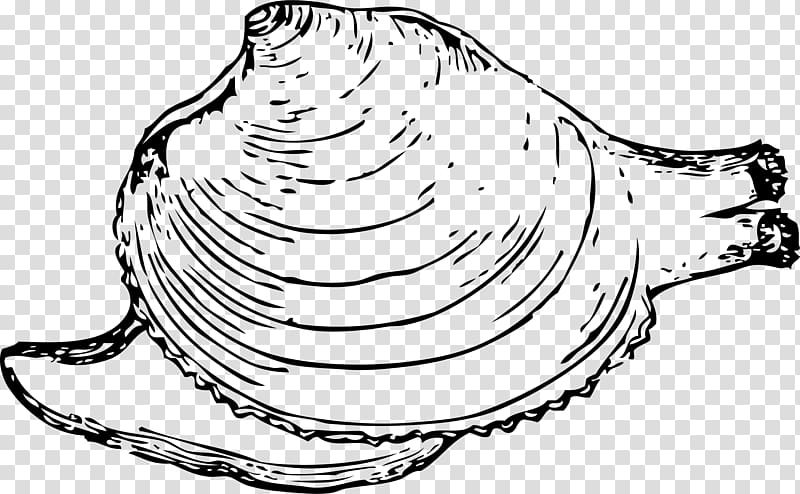 Hard clam Oyster Coloring book , cones transparent background PNG clipart