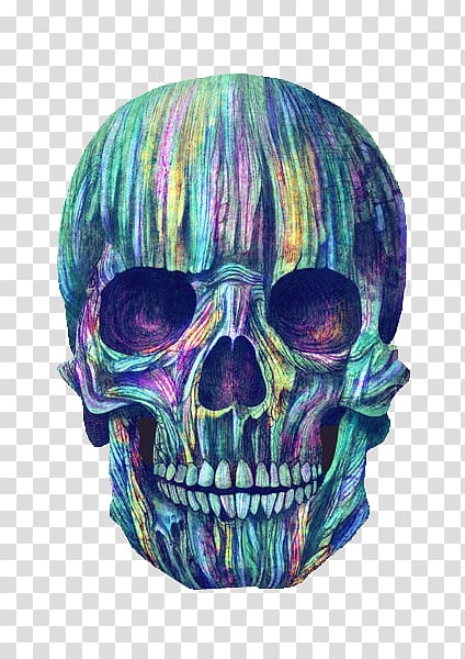 Human skull symbolism Color Calavera Skeleton, skull transparent background PNG clipart