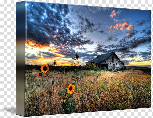 Painting Artist's statement Prairie Engineering Desktop , old barn transparent background PNG clipart