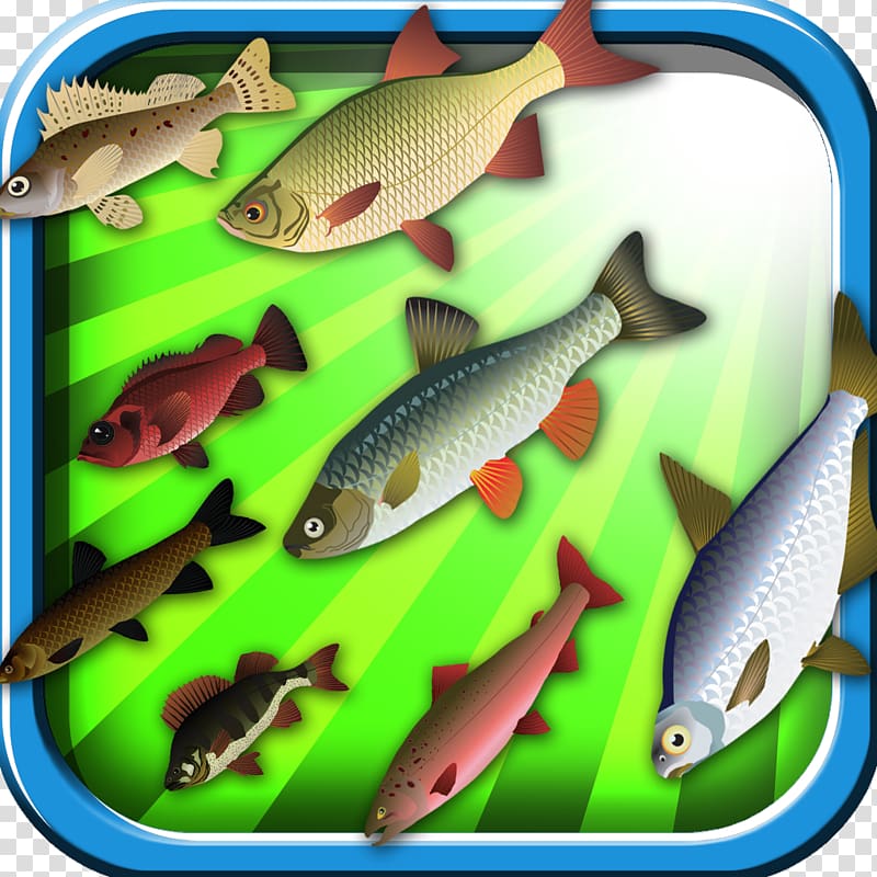 Sardine Ecosystem Marine biology Fauna Feeder fish, fisherman transparent background PNG clipart