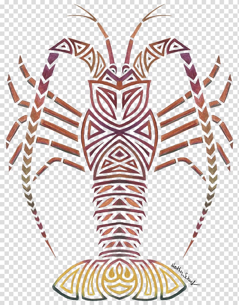 California spiny lobster T-shirt Palinurus Drawing, lobster transparent background PNG clipart