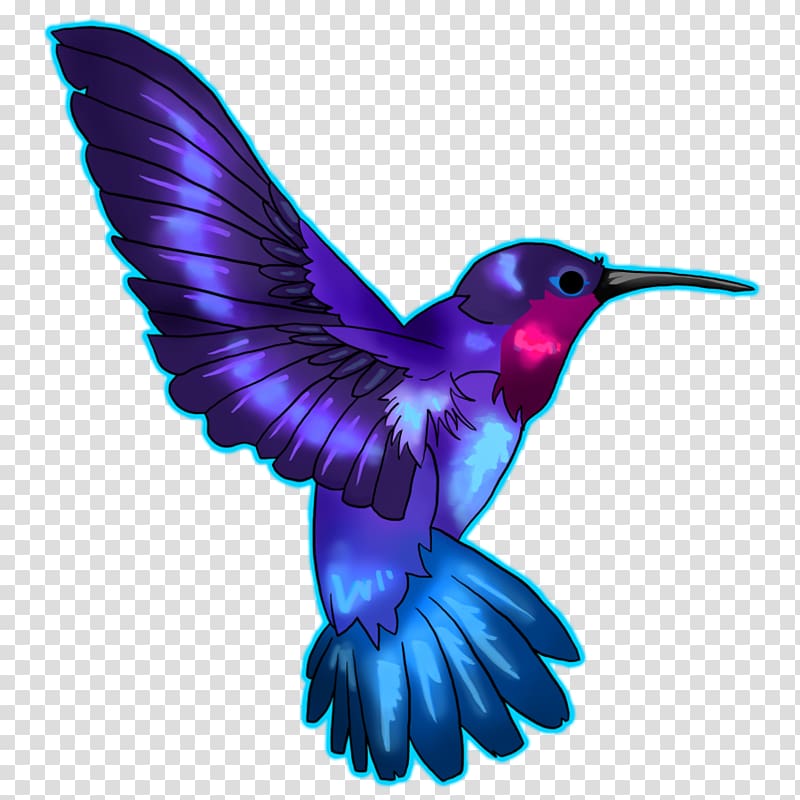 Hummingbird Drawing Blue , crowned transparent background PNG clipart