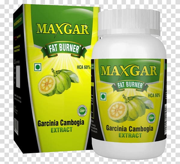 Dietary supplement Garcinia Cambogia,MaxGar Capsule Green coffee extract, Garcinia cambogia transparent background PNG clipart