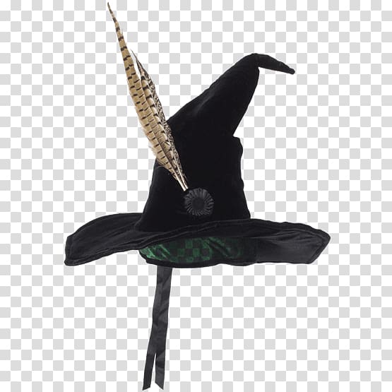 Professor Minerva McGonagall Witch hat Rubeus Hagrid Harry Potter, Hat transparent background PNG clipart