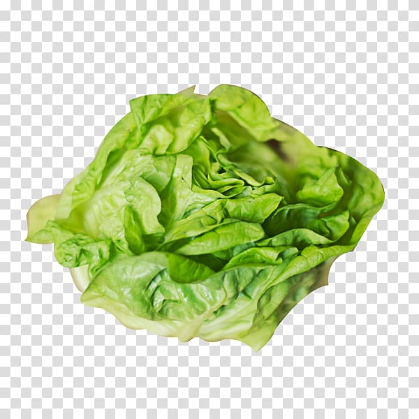 Smoothie Lettuce soup Centers for Disease Control and Prevention, A cabbage transparent background PNG clipart