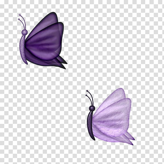 Butterfly Purple Moth , butterfly transparent background PNG clipart