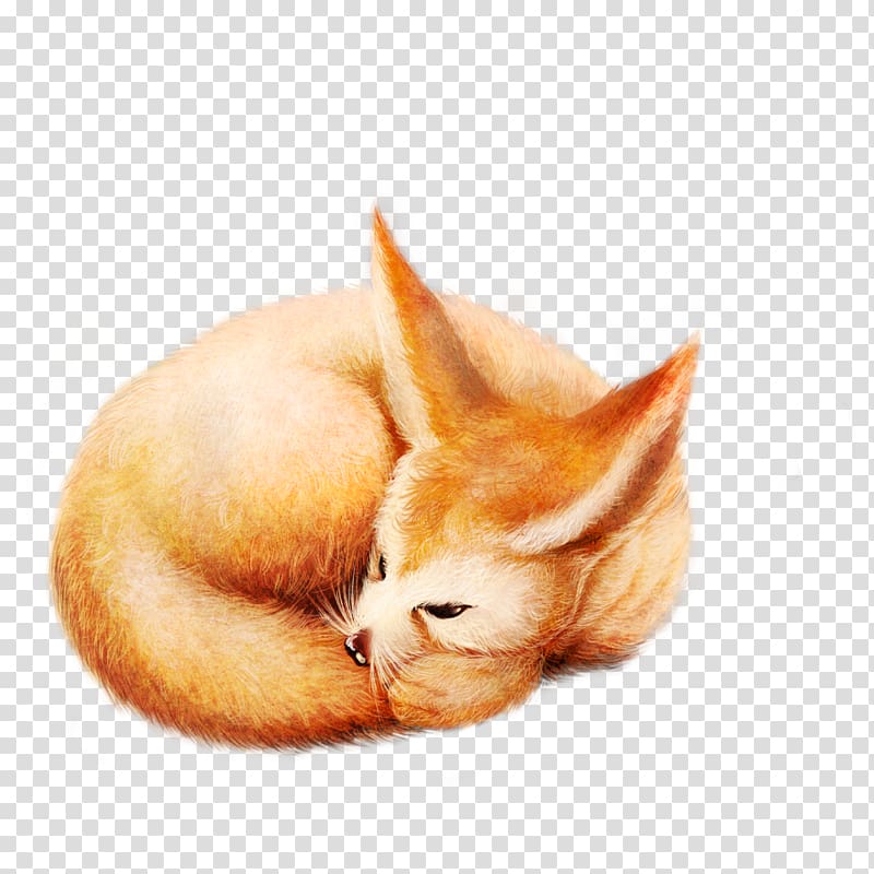 Fox Diego de la Vega Whiskers Kitten, Sleeping fox transparent background PNG clipart
