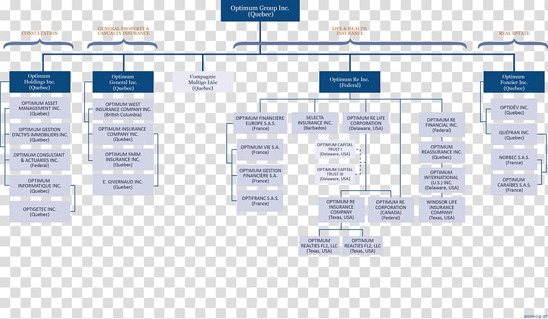 Organizational chart Business Organizational structure Service, organization structure transparent background PNG clipart