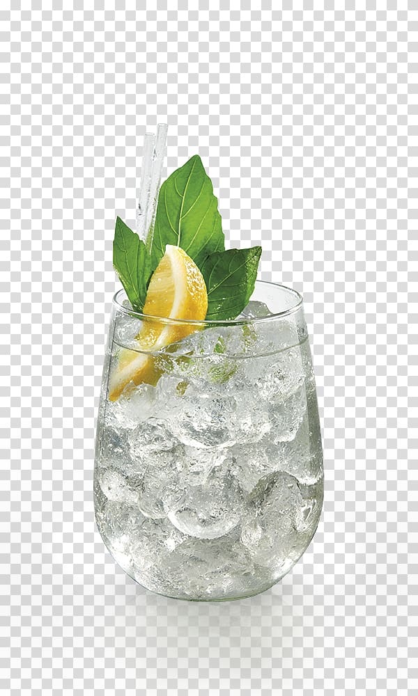 Gin and tonic Rebujito Cocktail garnish Vodka tonic Tonic water, cocktail transparent background PNG clipart